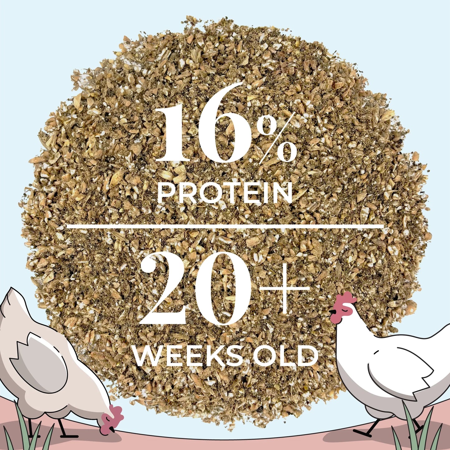 Layer Bundle | 1 Month of Organic Feed, Scratch, Grit & Oyster Shell for 6 Layers