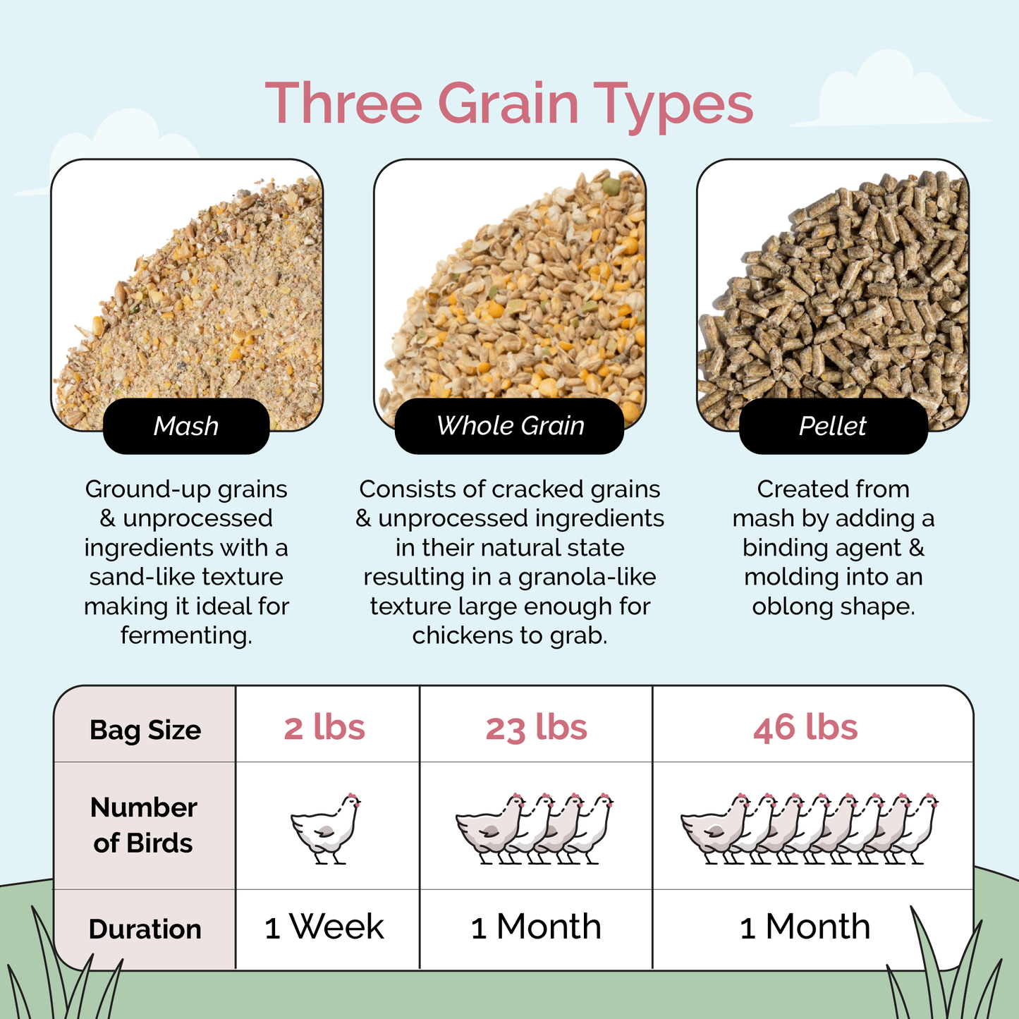 Grower Bundle | 12 Weeks of Organic Feed & Grit for 6 Pullets