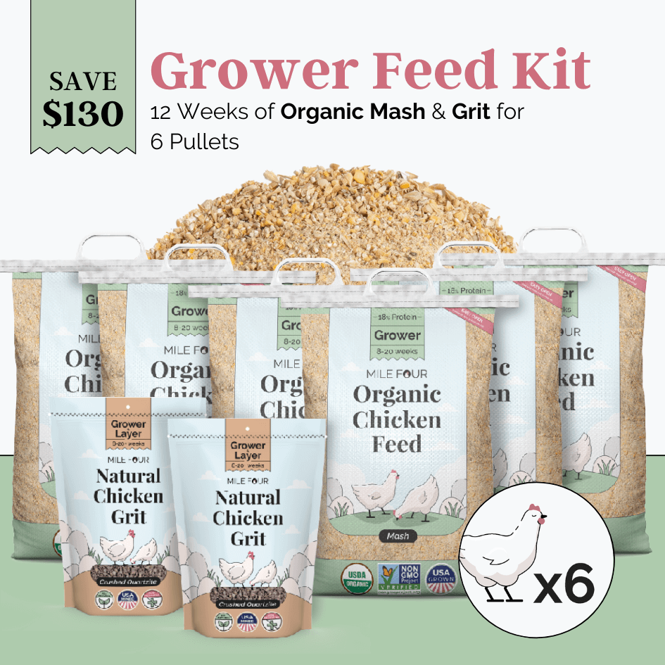 Grower Bundle | 12 Weeks of Organic Feed & Grit for 6 Pullets