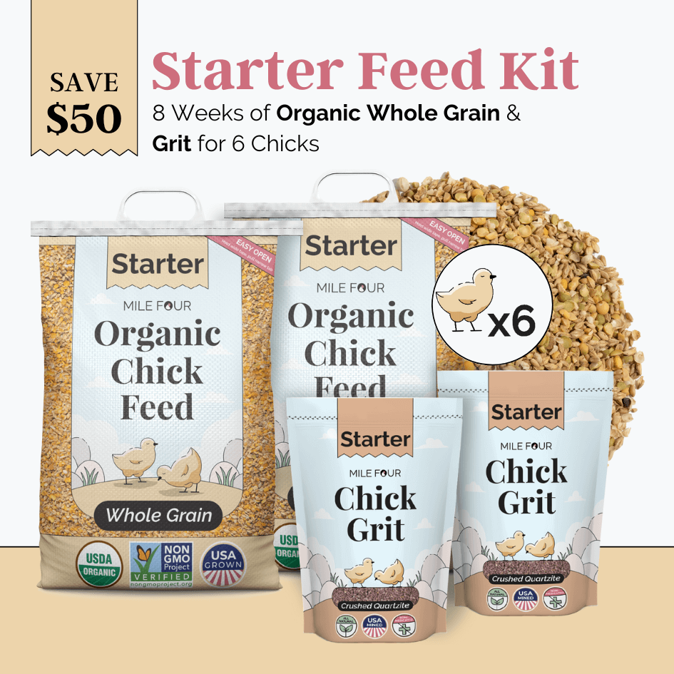 Starter Bundle | 8 Weeks of Organic Feed & Grit for 6 Chicks