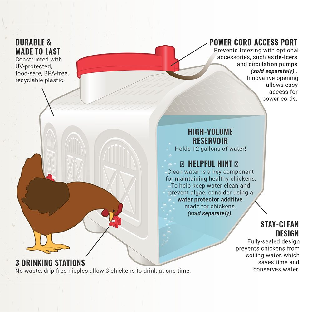 Classic Chicken Waterer