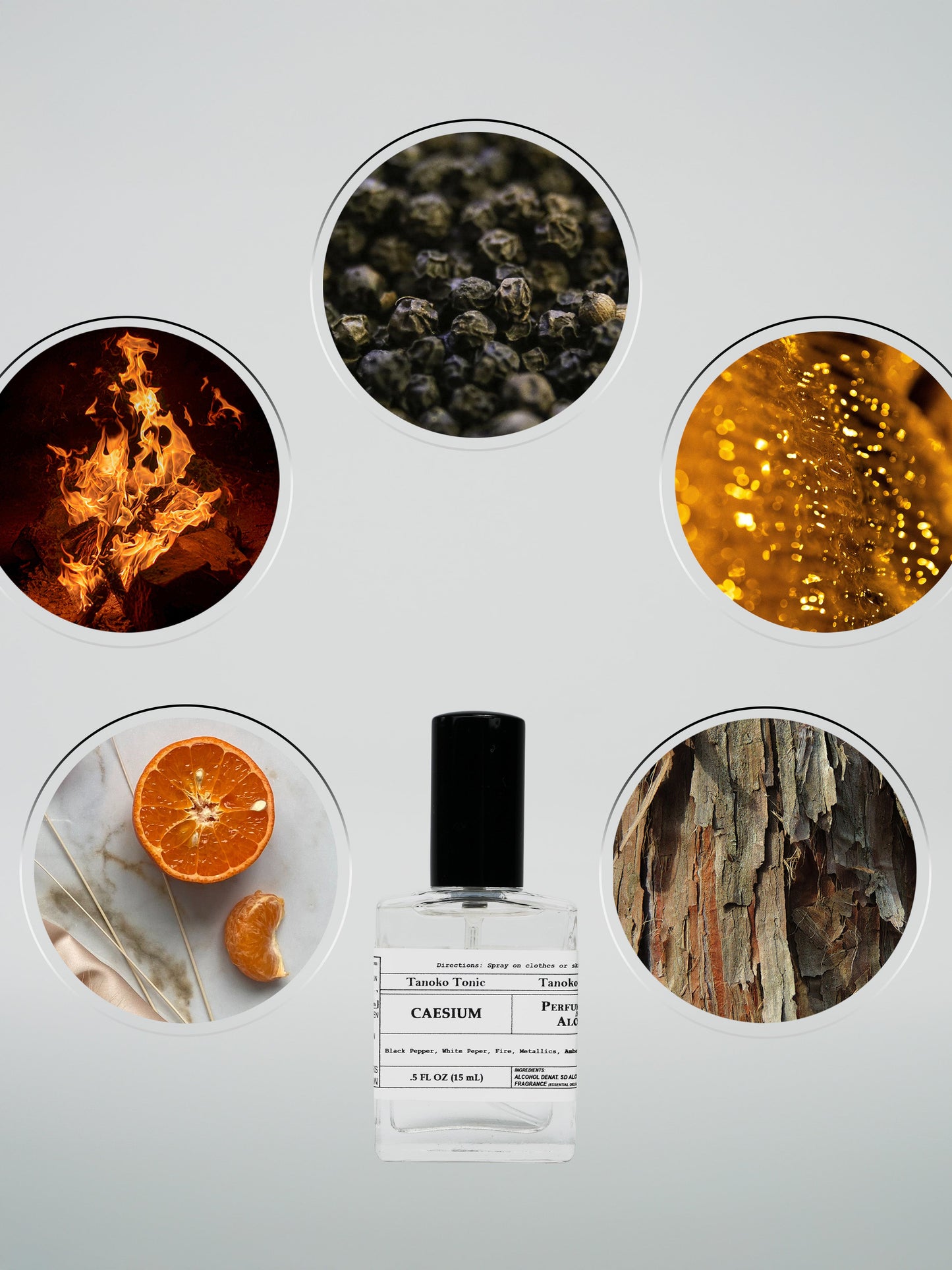 Perfume Sample Pack | One Vial of Each Scent
