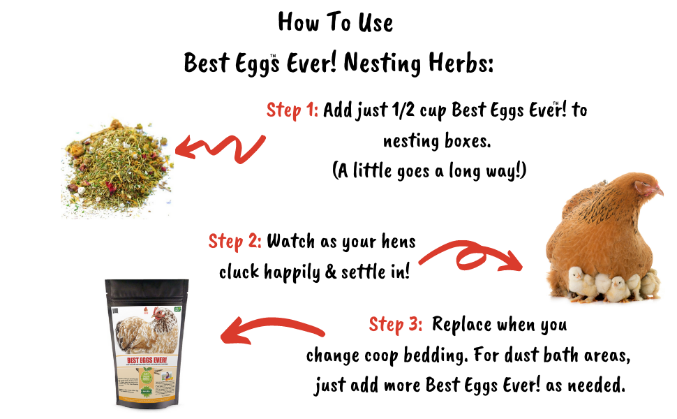 Best Eggs Ever! (TM) Nesting Herbs (Chamomile, Roses, Lavender, Cornflowers, & Calendula) For Pet Chickens
