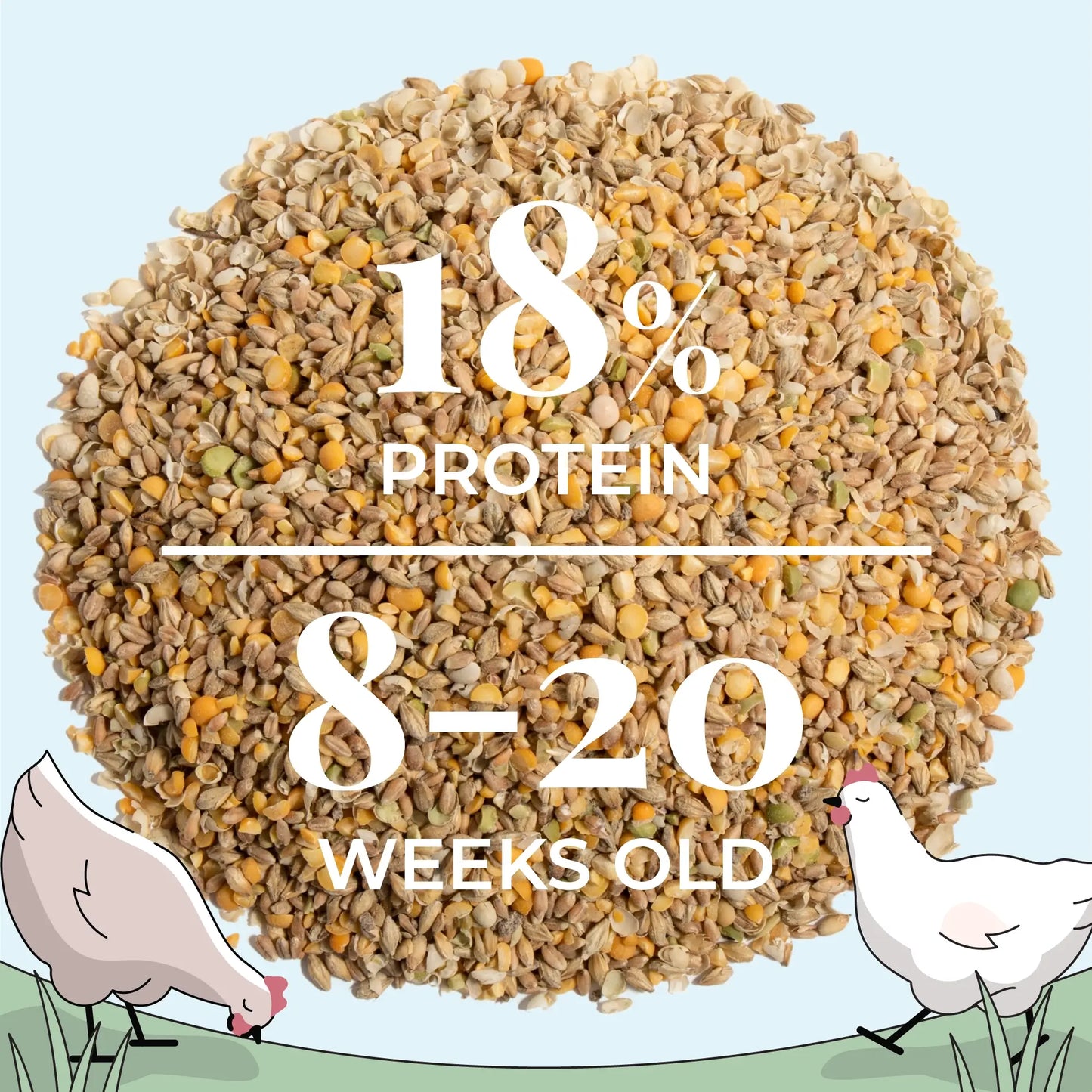 Grower Bundle | 12 Weeks of Organic Feed & Grit for 6 Pullets