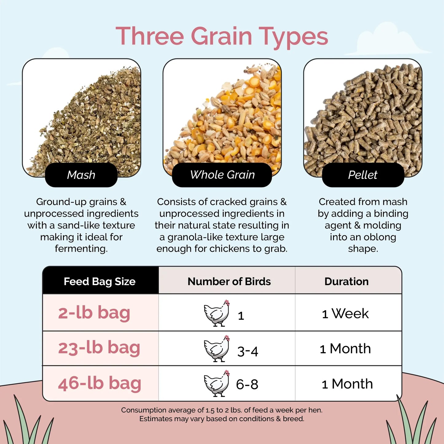 Layer Bundle | 1 Month of Organic Feed, Scratch, Grit & Oyster Shell for 6 Layers