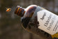 Elderberry Herbal Syrup (Oxymel)