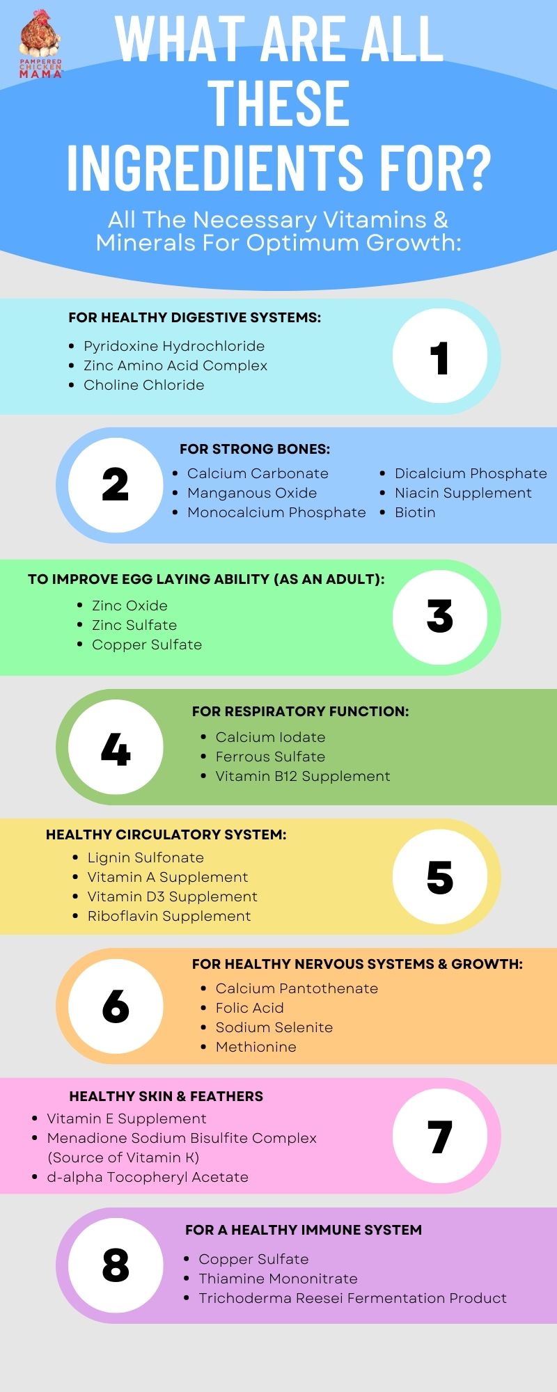 Herbal Non-GMO Chick Starter & Grower Feed With Oregano & Garlic For Chicks