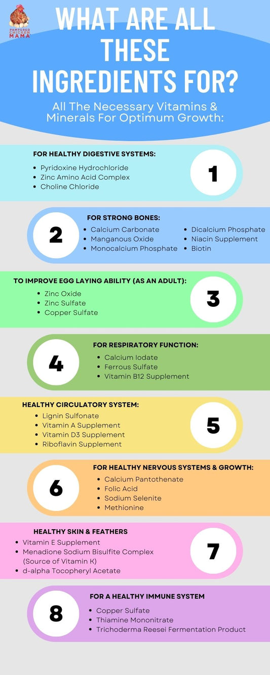 Herbal Non-GMO Chick Starter & Grower Feed With Oregano & Garlic For Chicks