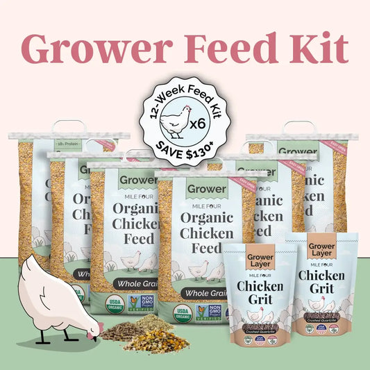 Grower Bundle | 12 Weeks of Organic Feed & Grit for 6 Pullets