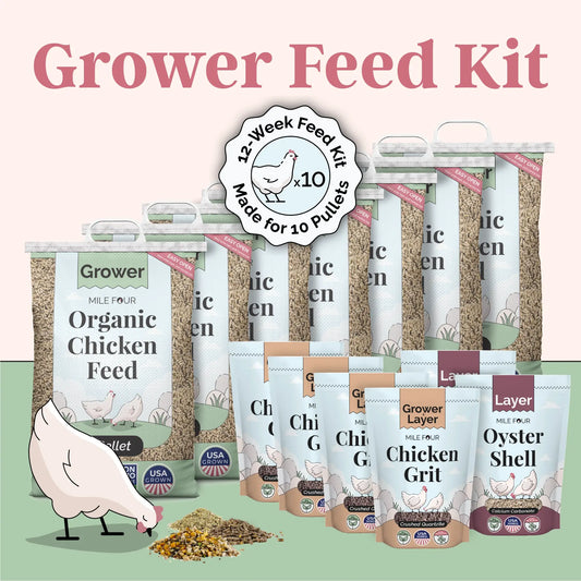 Grower Bundle | 12 Weeks of Organic Feed & Grit for 6 Pullets