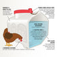 Classic Chicken Waterer