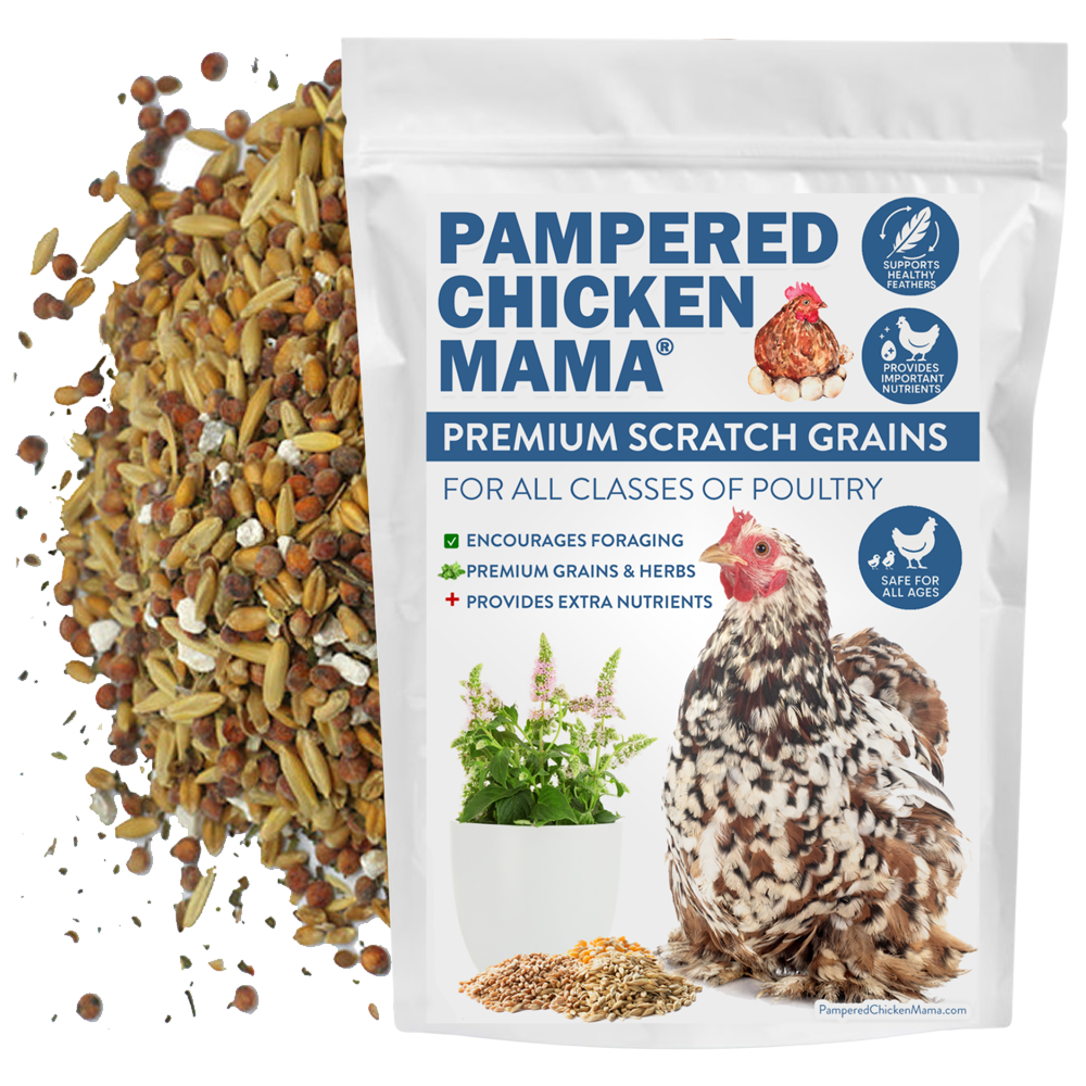 Non-GMO Premium Chicken Scratch With Herbs To Encourage Positive Behaviors