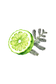 Bergamot & Cypress Essential Oil Blend