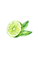 Bergamot Essential Oil