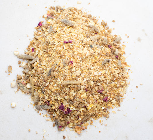 Chickeratti Treat For Chicks