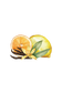 Citrus & Vanilla EO / FO Blend