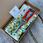 Garden Gift Box - Gloves and Needle Snips
