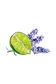 Lavender & Lime Essential Oil Blend