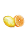 Lemon & Orange Essential Oil Blend