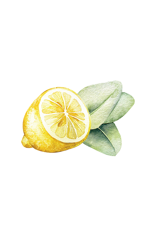 Lemon & Eucalyptus Essential Oil Blend