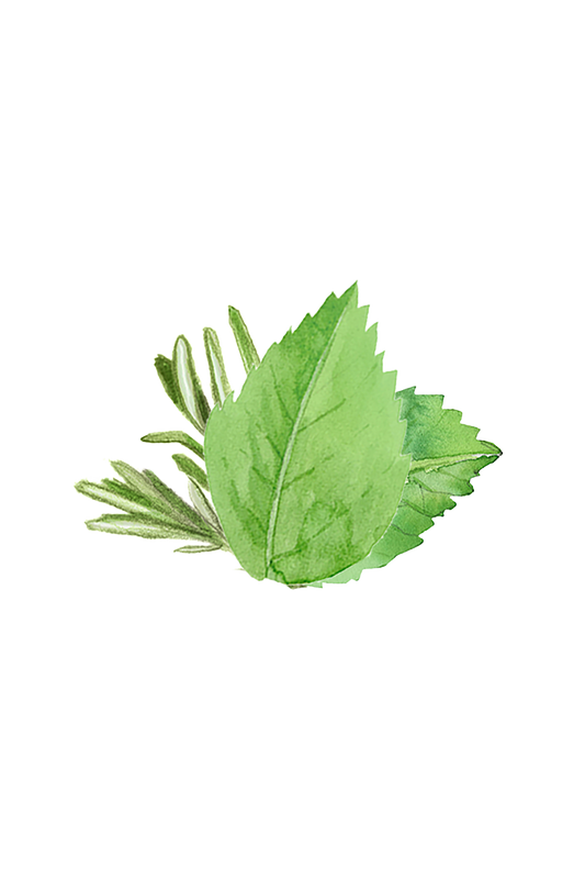 Rosemary & Mint Essential Oil Blend