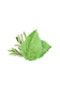 Rosemary & Mint Essential Oil Blend