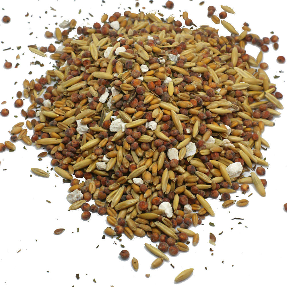 Non-GMO Premium Chicken Scratch With Herbs To Encourage Positive Behaviors